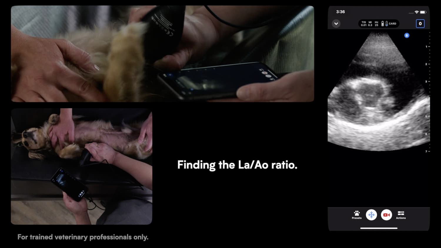 Butterfly veterinary ultrasound education